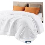 Bedsure Comforter Duvet Insert - Quilted Comforters Queen Size, All Season Duvet, Down Alternative Bedding, with 8 Tabs, Gifts for Women/Men, White, Queen 88 x 88 Inches