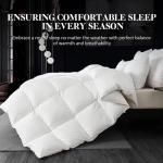 WhatsBedding White Queen Size Feather Down Fiber Comforter, Filled with Feather and Down Fiber, All Season Fluffy Ultra Soft 100% Cotton Duvet Insert, Luxury Hotel Bedding Style Comforter,90"x90"