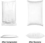 EIUE Hotel Collection Bed Pillows for Sleeping 2 Pack Queen Size，Pillows for Side and Back Sleepers,Super Soft Down Alternative Microfiber Filled Pillows,20 x 30 Inches
