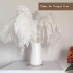 Bright White Vase - 6“ White Ceramic Flower vase, Boho Vases for Pampas Grass, Minimalist Modern vases for Home Decor, Table Shelf Living Room Farmhouse Decor