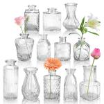 Der Rose Glass Bud Vases Set of 12, Small Bud Vases for Flowers, Rustic Wedding Centerpieces and Home Decor