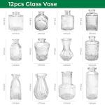 Der Rose Glass Bud Vases Set of 12, Small Bud Vases for Flowers, Rustic Wedding Centerpieces and Home Decor