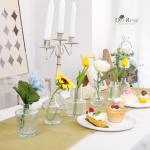 Der Rose Glass Bud Vases Set of 12, Small Bud Vases for Flowers, Rustic Wedding Centerpieces and Home Decor