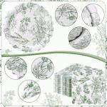 Havawish 400 Pcs Sage Green Disposable Tableware Set Greenery Floral Paper Plates Napkins Sage Serve Scalloped Plates Paper Napkins Cups Plastic Spoons Forks Knives for Wedding Tea Party Baby Shower