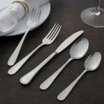 Oneida 2865045AL20 Flight 45 Piece Everyday Flatware Set, Service For 8