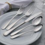 Oneida 2865045AL20 Flight 45 Piece Everyday Flatware Set, Service For 8