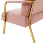 Yaheetech 30" W Modern Sofa Small Sofa Luxurious Velvet Fabric Couch with Gold-Tone Metal Arms and Legs for Living Room, Home Office, Studio Pink
