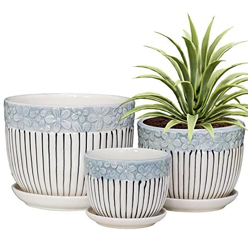 Pots for Indoor Plants