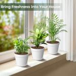 SwinDuck 10 Pack 6 Inch Plant Pots with Drainage and Saucers, White Plastic Flower Pots for Indoor and Outdoor Plants, Stackable Nursery Planters for Houseplants and Herbs, White
