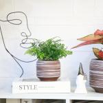 Gepege 6 Inch + 4 inch Ceramic Plant Pots for Indoor Plants, Small Large Round Succulent Orchids Flower Pot with Drainage Holes, Coffee