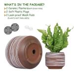 Gepege 6 Inch + 4 inch Ceramic Plant Pots for Indoor Plants, Small Large Round Succulent Orchids Flower Pot with Drainage Holes, Coffee