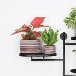 Gepege 6 Inch + 4 inch Ceramic Plant Pots for Indoor Plants, Small Large Round Succulent Orchids Flower Pot with Drainage Holes, Coffee