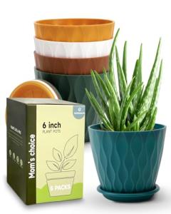 Goproauto 6 Inch Indoor Planter Pots with Drainage Hole and Tray Saucer,Flower Pots for Indoor Outdoor Garden Plants and Flowers, Multicolor, 5 Packs