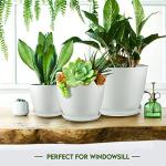 Utopia Home - Plant Pots Indoor with Drainage - 7/6.6/6/5.3/4.8 Inches Garden Flower Pots for Indoor Planter - 5 Pack White Plastic Planters - Ideal for Stocking Stuffers or Room, Office Home Decor