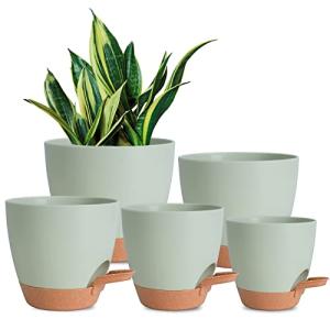 Vanslogreen Plant Pots Indoor 7/6.5/6/5.5/5 Inch Self Watering Planters for Indoor Plants with Drainage Hole, Plastic Flower Pots for Succulents, African Violet (Green)