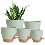 Vanslogreen Plant Pots Indoor 7/6.5/6/5.5/5 Inch Self Watering Planters for Indoor Plants with Drainage Hole, Plastic Flower Pots for Succulents, African Violet (Green)