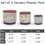 DeeCoo 3 Piece Ceramic Plant pots Indoor Pots Set with Drainage Holes, 5.7/4.7/3.5/inch, Modern Decorative pots Outdoor Plants Lilies, Cacti, Succulents, Snakes, and Bamboo (Blue)