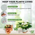 Vanslogreen Plant Pots Indoor 7/6.5/6/5.5/5 Inch Self Watering Planters for Indoor Plants with Drainage Hole, Plastic Flower Pots for Succulents, African Violet (Green)