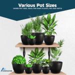 Lifemaster Plant Pots with Multi Drainage Holes - 5 Pieces Versatile, Sturdy Plastic, Stackable Design Home Decor Flower Pots for Indoor and Outdoor Gardening - Black