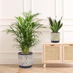 DeeCoo 3 Piece Ceramic Plant pots Indoor Pots Set with Drainage Holes, 5.7/4.7/3.5/inch, Modern Decorative pots Outdoor Plants Lilies, Cacti, Succulents, Snakes, and Bamboo (Blue)