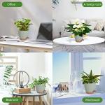 Vanslogreen Plant Pots Indoor 7/6.5/6/5.5/5 Inch Self Watering Planters for Indoor Plants with Drainage Hole, Plastic Flower Pots for Succulents, African Violet (Green)
