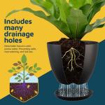 Lifemaster Plant Pots with Multi Drainage Holes - 5 Pieces Versatile, Sturdy Plastic, Stackable Design Home Decor Flower Pots for Indoor and Outdoor Gardening - Black