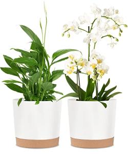 kubvici 2 Pack 8 Inch Planters for Indoor Plants, Plastic Flower Pots Plant Pots Indoor with Drainage Saucer for Outdoor Garden Home Plant, White 8”