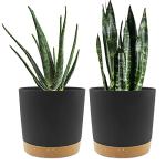 QCQHDU 8 inch Plant Pot, 2 Pack Planters for Indoor Plants with Drainage Holes & Saucer, Outdoor Flower Pots Home Garden Modern Decor