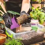 Bchjatk 8 Pcs Plant Pots,3.8" Flower Pots,Gardening Gifts,Plastic Pot for Plants,Nursery Succulent Pot Planters for Indoor Plants,Small Flower Pots,Cute Plant Pots