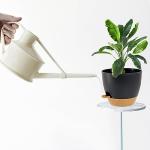 SE SUN-E Self Watering Plants Pot with Drainage Hole, Flower Plants Pots for Indoor & Outdoor, Black Plastic Self Watering Planters Succulent Pot 5pcs/Set
