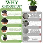 Fielda 8/10/12 Inch Self Watering Pots for Indoor/Outdoor Plants - Large Plastic Planter with Drainage Holes, Water Level Indicator & Deep Reservoir, Modern Decorative Flower Pots (Black)