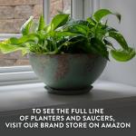 Classic Home and Garden Rosie Modern Planter w/Drainage - Contemporary Planter Bowls - Shallow Round Vases for Small Plants - Versatile Indoor & Outdoor Pots (10” Weathered Copper)