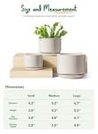 LE TAUCI Ceramic Plant Pots, 4.3+5.3+6.8 inch, Set of 3, Planters with Drainage Hole and Saucer, Indoor Flower Pot with Hole Mesh Pad, Gifts for Mom, Reactive Glaze Beige