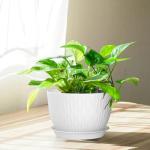 QRRICA Plant Pots 12/10/9 Inch Pots, Set of 3 Plastic Planters with Drainage Holes and Saucers,Plastic Flower Pots,Nursery Planting Pot for Indoor Out Door Plants（White）