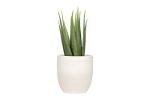 Creative Co-Op Large Matte White Embossed Stoneware Planter