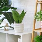 YFFSRJDJ 5.7 Inch +4.1 inch 2 pcs Ceramic Plant Pots for Indoor Plants, Rainbow Pearl Glaze Planter with Planters for Plants with Drainage Hole, Orchid Pots, Succulent Pot, Flower Pot (White)