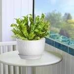 QRRICA Plant Pots 12/10/9 Inch Pots, Set of 3 Plastic Planters with Drainage Holes and Saucers,Plastic Flower Pots,Nursery Planting Pot for Indoor Out Door Plants（White）