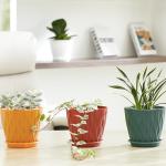 FaithLand 6-Pack 6-Inch Plastic Plant Pots with Saucers | Thickened PP Material, Modern Wave Texture, Enhanced Drainage for Indoor/Outdoor Garden Plants | Multicolor Value Set