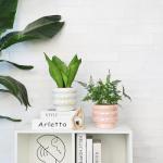 YFFSRJDJ 5.7 Inch +4.1 inch 2 pcs Ceramic Plant Pots for Indoor Plants, Rainbow Pearl Glaze Planter with Planters for Plants with Drainage Hole, Orchid Pots, Succulent Pot, Flower Pot (White)