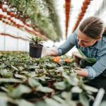 Pro Cal HGPK5PHD Round Circle 5 Gallon Wide Rim Durable Injection Molded Plastic Garden Plant Nursery Pot for Indoor or Outdoor (Set of 5)