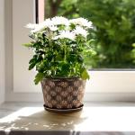 10 Inch Planter Pots for Plants, 4 Pack Plastic Large Flower Pots Indoor Outdoor, Resin Plant Pot with Drainage & Saucer, Retro Decorative Garden Pot with Removable Trays for House