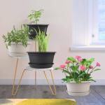 NNARRE 6 Pack 10 inch Plant Pot, Round Plastic Plant Pots, Outdoor Pots for Plants with Drainage Hole & Tray Saucer, Decoration Flower Pots for Indoor Plants Home Garden Outdoor Planters (Grey)