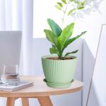 Meowell 7/6.2/5.5/5/4.5/4 inch Plant Pots, 6 Pack Flower Pots for Small Indoor Outdoor Plants, Plastic Planters with Drainage Holes and Saucers for Garden Succulent House Plants, Green