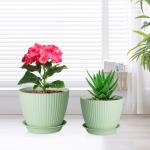 Meowell 7/6.2/5.5/5/4.5/4 inch Plant Pots, 6 Pack Flower Pots for Small Indoor Outdoor Plants, Plastic Planters with Drainage Holes and Saucers for Garden Succulent House Plants, Green