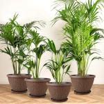 Nooulap 4 Pack 10 Inch Plant Pot, Flower Pots Outdoor with Drainage Hole & Tray, Thickened Plastic Planters for Indoor Outdoor Plants, Lightweight Modern Decorative Garden Pot with Saucer