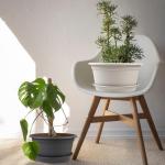 NNARRE 6 Pack 10 inch Plant Pot, Round Plastic Plant Pots, Outdoor Pots for Plants with Drainage Hole & Tray Saucer, Decoration Flower Pots for Indoor Plants Home Garden Outdoor Planters (Grey)