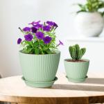 Meowell 7/6.2/5.5/5/4.5/4 inch Plant Pots, 6 Pack Flower Pots for Small Indoor Outdoor Plants, Plastic Planters with Drainage Holes and Saucers for Garden Succulent House Plants, Green