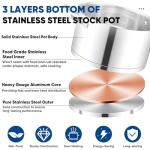 TeamFar 5 QT Stock Pot, Tri-ply Bottom Stainless Steel Stockpot Cooking Soup Pasta Pot with Lid for Gas/Induction/Electric Stoves, Non-toxic & Heavy Duty, Double Handles & Dishwasher Safe