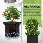 Utopia Home 5 Pack 5 Gallon Grow Bags, 300G Thickened Nonwoven Plant Fabric Pots for Outdoor, Grow Pots, Garden Plant Bags, Aeration Fabric Planters for Fruits, Vegetables and Flowers