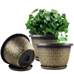 8 Inch Plant Pots, 4 Pack Flower Pot Outdoor with Drainage Holes & Trays, Retro Antique Imitation Decorative Garden Plastic Planters Pots for Plants Indoor Sets for Houseplants